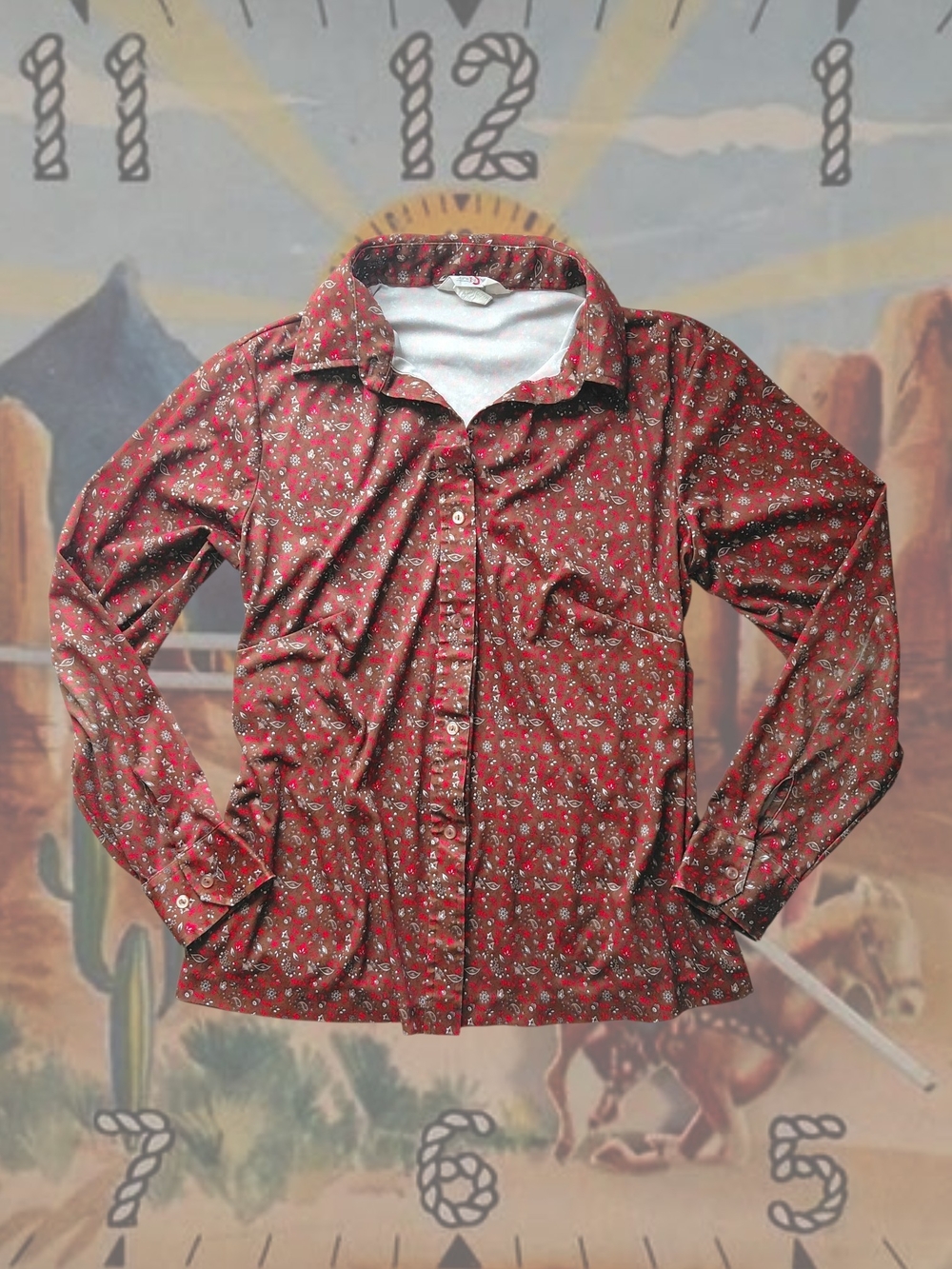 Vintage 70s Sears The Shirt Paisley Blouse Red Brown Dagger Collar Large 44